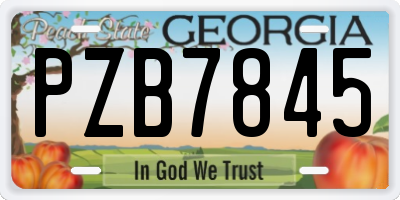 GA license plate PZB7845