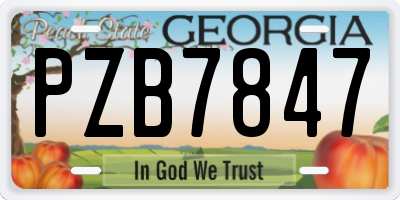 GA license plate PZB7847