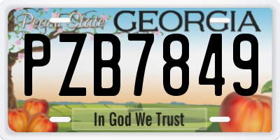 GA license plate PZB7849