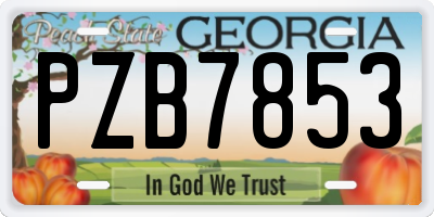 GA license plate PZB7853