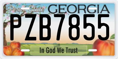 GA license plate PZB7855