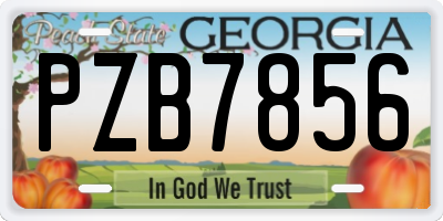 GA license plate PZB7856