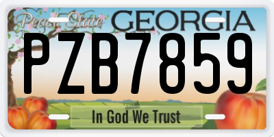 GA license plate PZB7859
