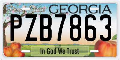 GA license plate PZB7863