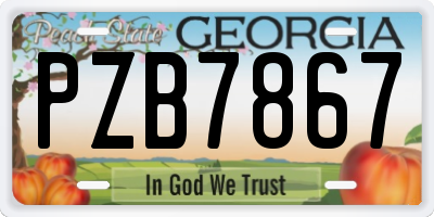 GA license plate PZB7867