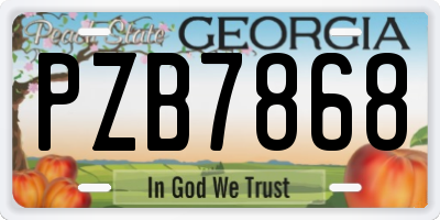 GA license plate PZB7868