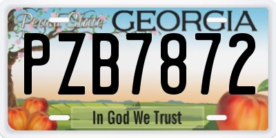 GA license plate PZB7872