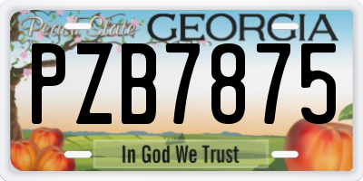 GA license plate PZB7875