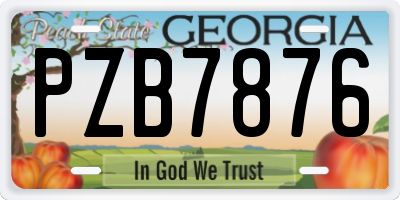 GA license plate PZB7876