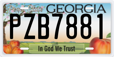 GA license plate PZB7881