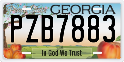 GA license plate PZB7883