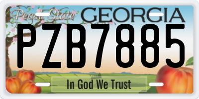 GA license plate PZB7885