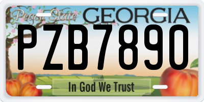 GA license plate PZB7890