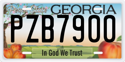GA license plate PZB7900
