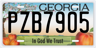 GA license plate PZB7905