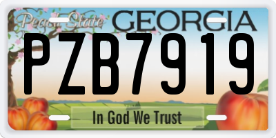 GA license plate PZB7919