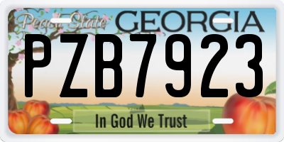 GA license plate PZB7923