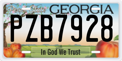 GA license plate PZB7928