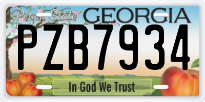 GA license plate PZB7934