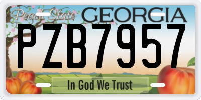 GA license plate PZB7957