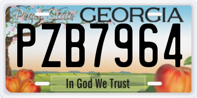 GA license plate PZB7964