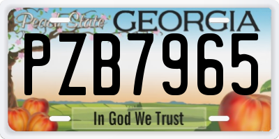 GA license plate PZB7965