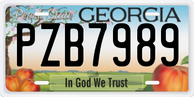 GA license plate PZB7989