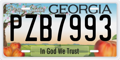 GA license plate PZB7993