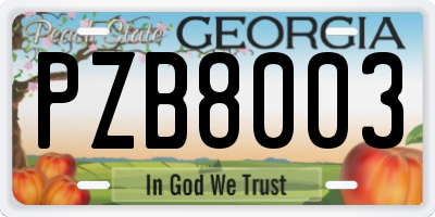 GA license plate PZB8003