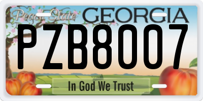 GA license plate PZB8007