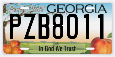 GA license plate PZB8011