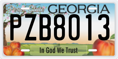 GA license plate PZB8013