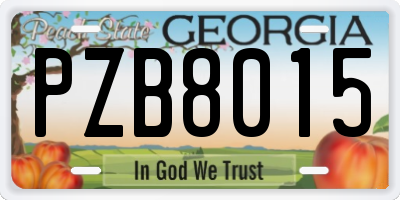 GA license plate PZB8015