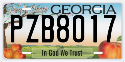 GA license plate PZB8017