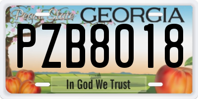 GA license plate PZB8018