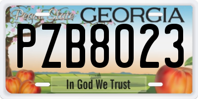 GA license plate PZB8023