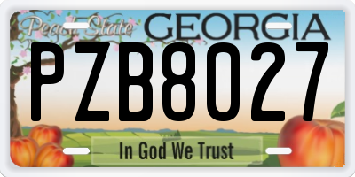 GA license plate PZB8027