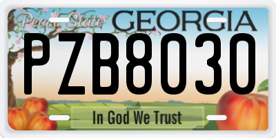 GA license plate PZB8030
