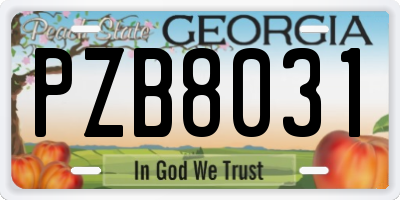 GA license plate PZB8031