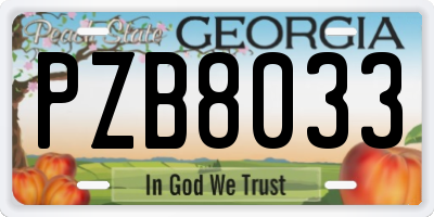 GA license plate PZB8033