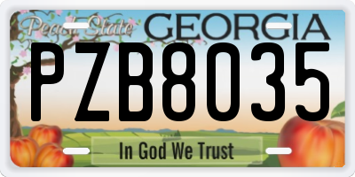 GA license plate PZB8035