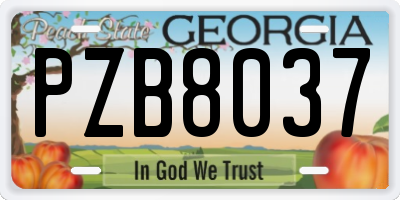GA license plate PZB8037