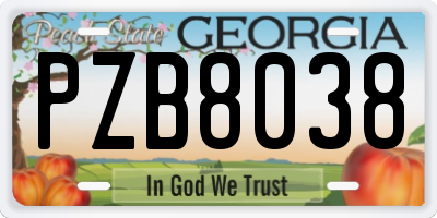 GA license plate PZB8038