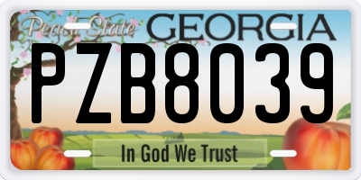 GA license plate PZB8039