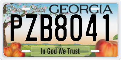 GA license plate PZB8041