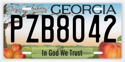 GA license plate PZB8042
