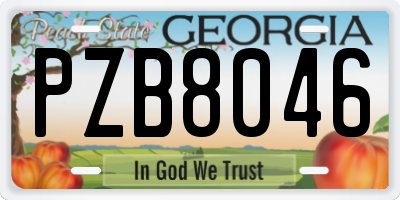 GA license plate PZB8046