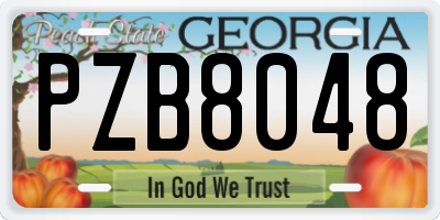 GA license plate PZB8048