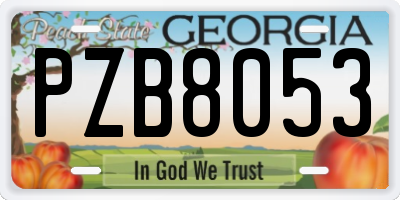 GA license plate PZB8053