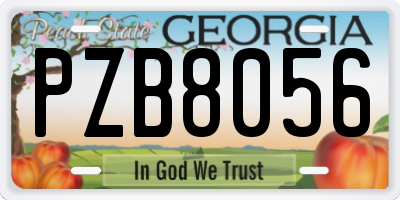 GA license plate PZB8056